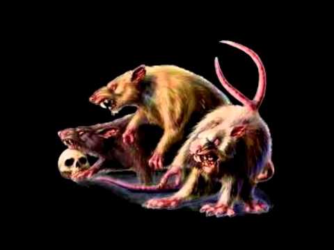 JAMBO RAPMANÍACO - Ritual de Ratas ft PESTY SIDA & ORFHEZ (ADELANTO MARTES 13)