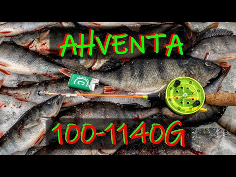 PÖLLI-AHVENIA PIENTEN SEASTA JA 5 TÄHDEN PILKKIKOPPI - TALVEN ENNÄTYS UUSIKSI(1140g)