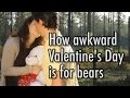 How Awkward Valentines Day Is For Bears - YouTube