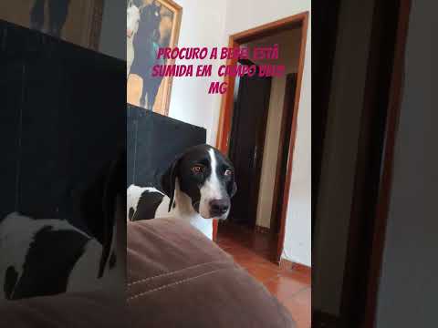 #campobelomg#campobelomg #minasgerais #aguanil#cristaismh