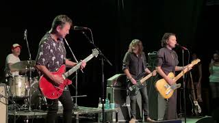 Baby Animals - Early Warning 2022