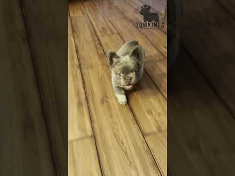 Video 3