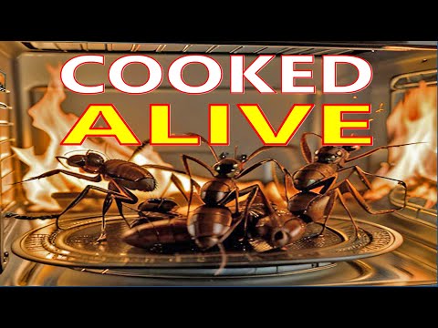 Here's What Happened When I Cooked Live Ants in a Microwave