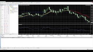 FX自動売買XM生放送配信！