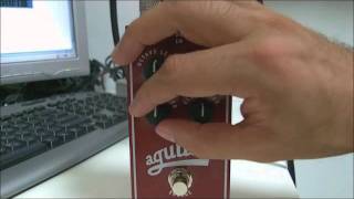 Video thumbnail for Aguilar Octamizer - Bass Demo by Pertybass