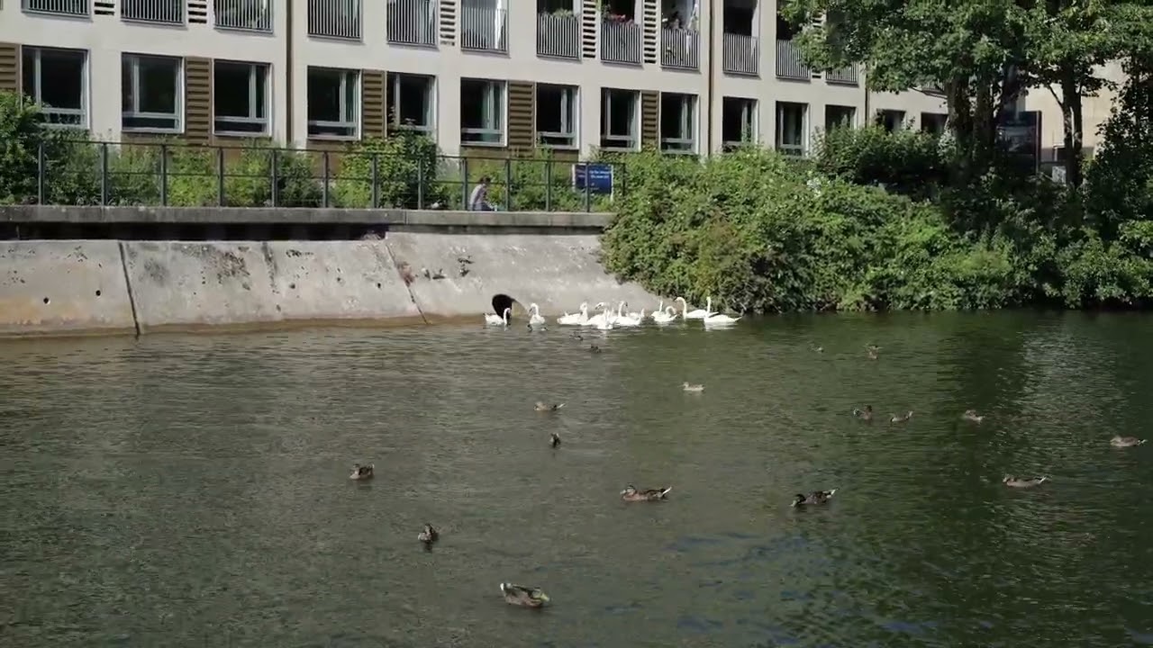 Leica Q3 43 — 4K 60fps video - YouTube