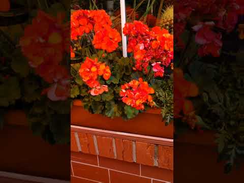 #Flower#Power, 🙆🙆🙆