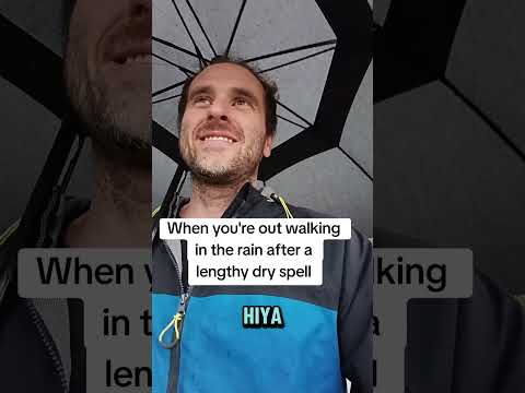 Nice weather for ducks, isn't it? ☔☂️🦆