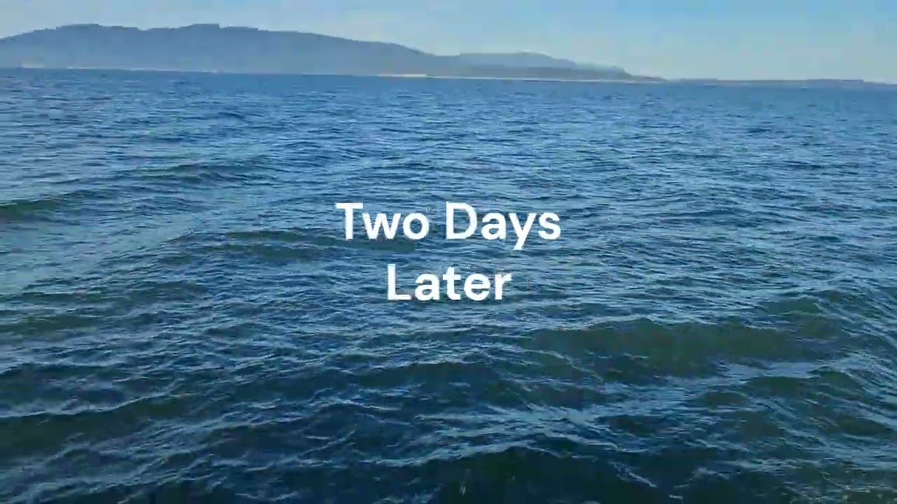 2025 Chuckanut Bay