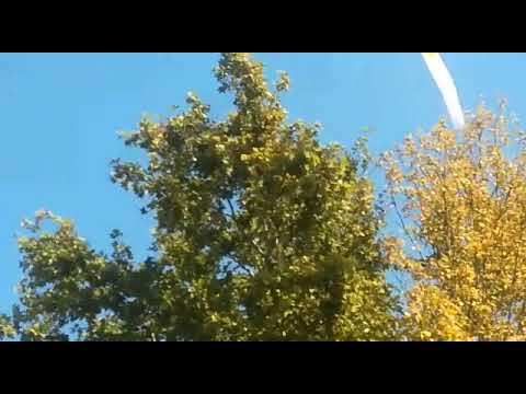 Solin - Treći nacionalni susret hrvatskih katoličkih obitelji