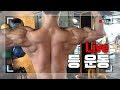 [Live] 실시간 등 운동 방송