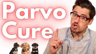 The Parvo Virus Cure!  Monoclonal Antibody Therapy