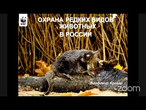, title : 'Вебинар об охране краснокнижных видов с Владимиром Кревером'