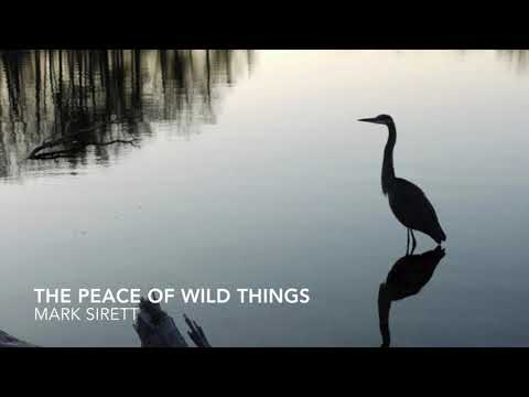 The Peace of Wild Things by Mark Sirett