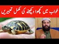 Khwab Mein Kachwa Dekhna Kaisa Hai To See The Tortoise In The Dream Khwab Mein Kachua Dekhna