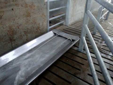 Cowcare Systems Jetwash Footbath 4