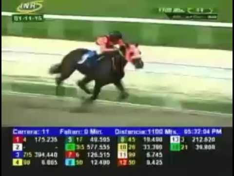 LA RINCONADA 11 CARRERA, DOMINGO 01 DE NOVIEMBRE DEL 2015