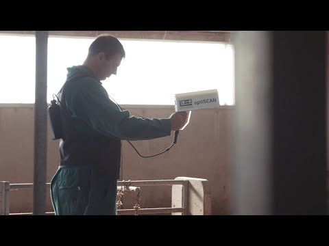 Schweine mit einer Hand wiegen und vermessen | H+L