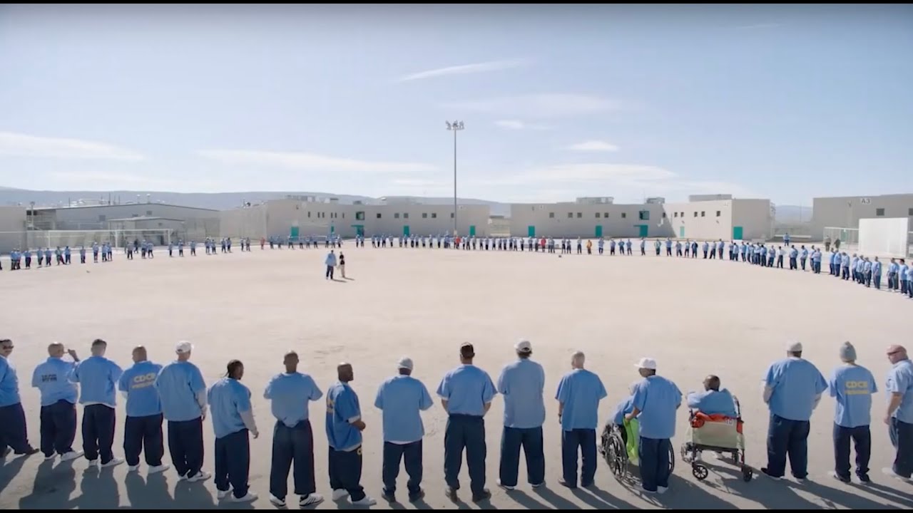 Step Inside the Circle Trim