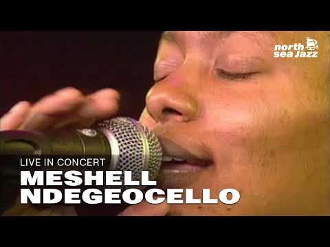 Meshell Ndegeocello: "Soul Record" | North Sea Jazz (1994)