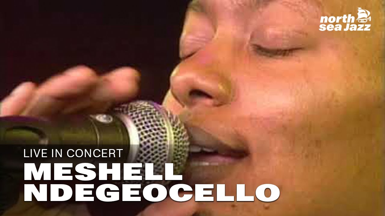 Meshell Ndegeocello: 