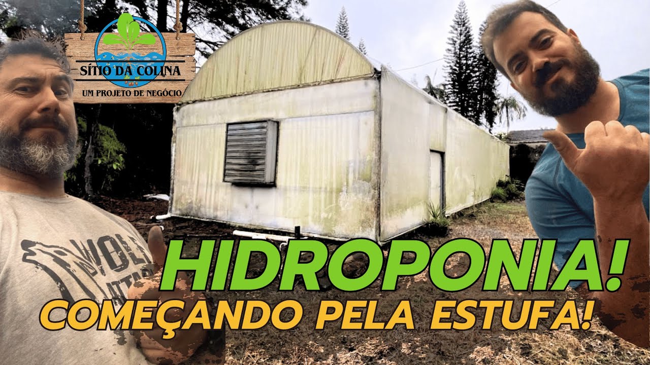 Compramos uma SUPER ESTUFA para HIDROPONIA!