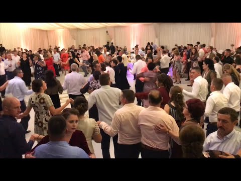 Program de nuntă cu Formația AxA din Suceava Câmpulung Moldovenesc