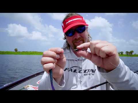 Lures that Catch BIG Bass in Florida