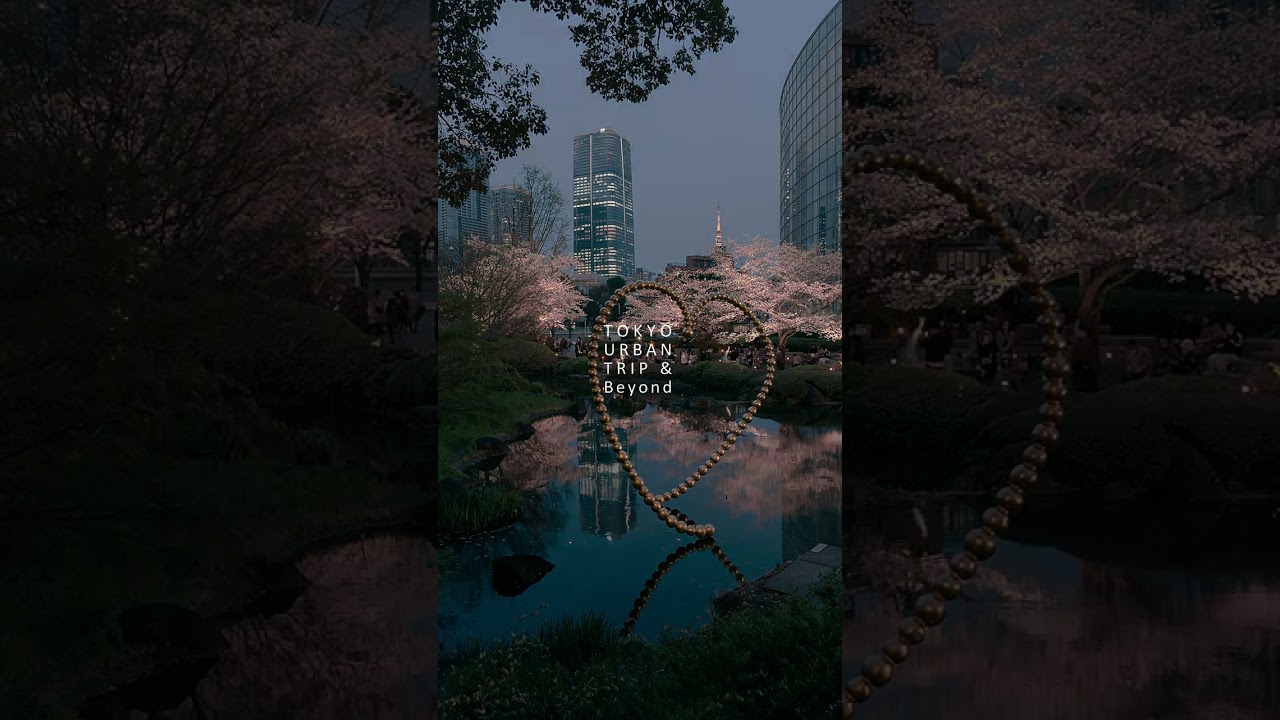 Magic Night Sakura: Tokyo Roppongi Hills | Cherry Blossoms 2026 #Shorts #Tokyo #Sakura