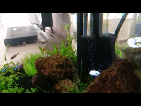 Watch Video on YouTube