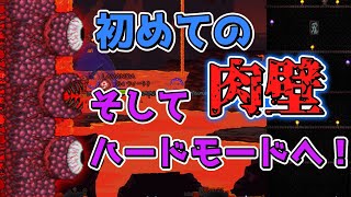 【テラリア】まさかの事故で初めての肉壁！？/初心者は教わりながらマスター攻略するってさPart7【ゆっくり実況】