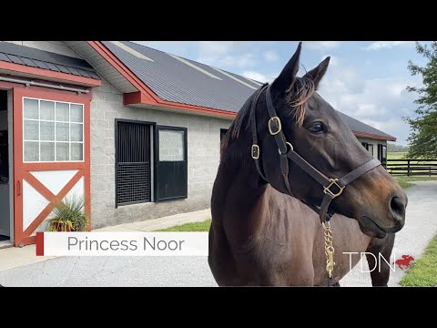 Speedy Princess Noor Provides Many 'Firsts' For Connections