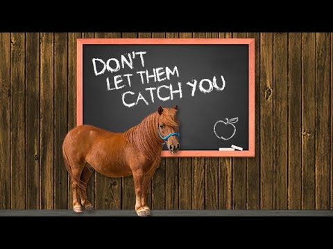 Fundamentals With Phoenix: Lesson 1 - Don't Let Them Catch You