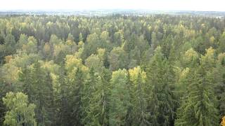 preview picture of video '110925: 360° Aulangon näkötorni, Hämeenlinna, Finland'