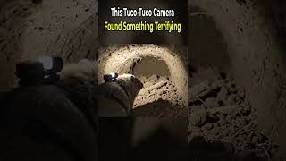 This Tuco Tuco Camera Found Something Terrifying
