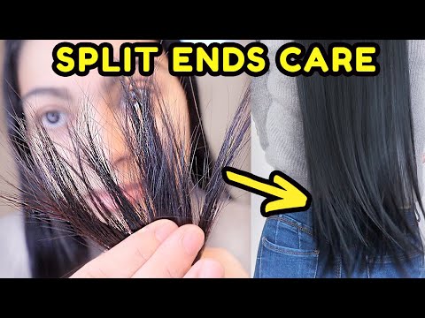YOUR ULTIMATE SPLIT ENDS GUIDE | How to get rid of split ends
