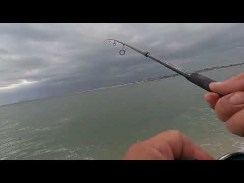 Fishing video;Catching Bluefish!