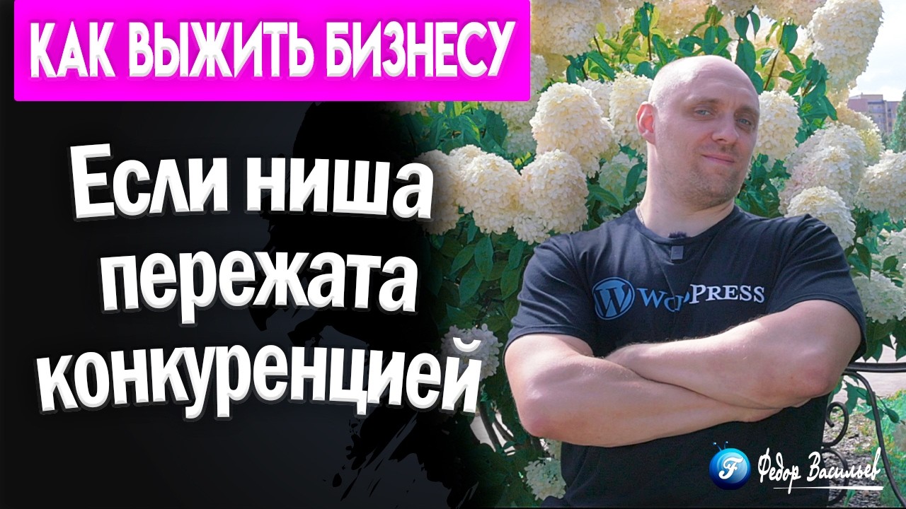 Если ниша пережата конкуренцией, как выжить бизнесу?