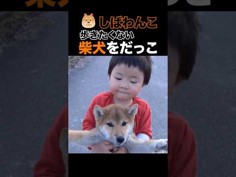 youtube-動物記事1970/01/01 09:00:00