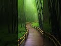 Barish Netural Mausam Beautiful Video Shorts Nature Barish Rain
