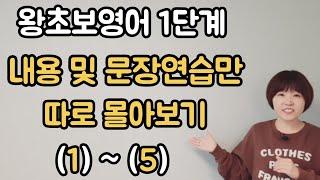 [왕초보영어 1단계] 필수내용및 문장연습만 몰아보기 (1)~(5)