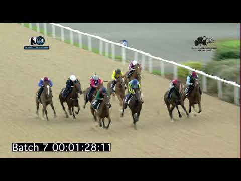 Irish EBF Barrier Trials 18 August 2021 - Batch 07