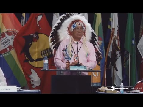 Incumbent Fiddler comfortably wins NAN Grand Chief election