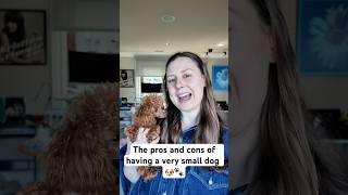The pros and cons with having a super small dog 🐶 🐾✨     #tinydog #dogmom #fyp #dog