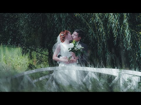 Kiwi Eyes video.