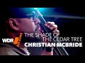 Christian McBride feat. by WDR BIG BAND - The Shade of The Cedar Tree