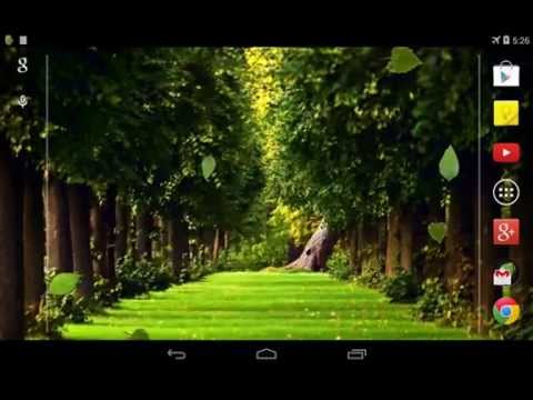 Falling leaves Live Wallpaper Video