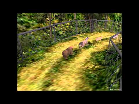 TheDominusIgnis plays The Zoo Race