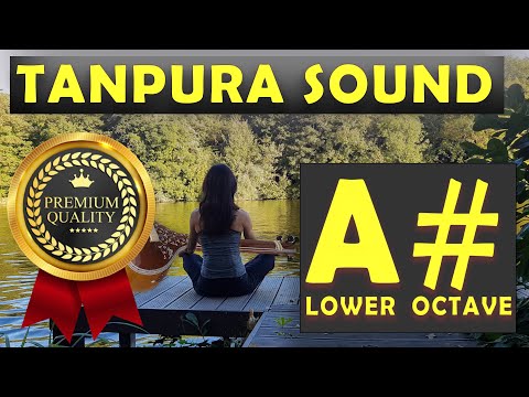 A# Tanpura | A Sharp Tanpura Scale (Lower Octave 5th Black) High Quality Tanpura