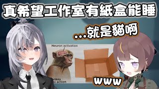 [holo] Anya：Zeta 你果然是貓~